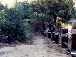 Dock